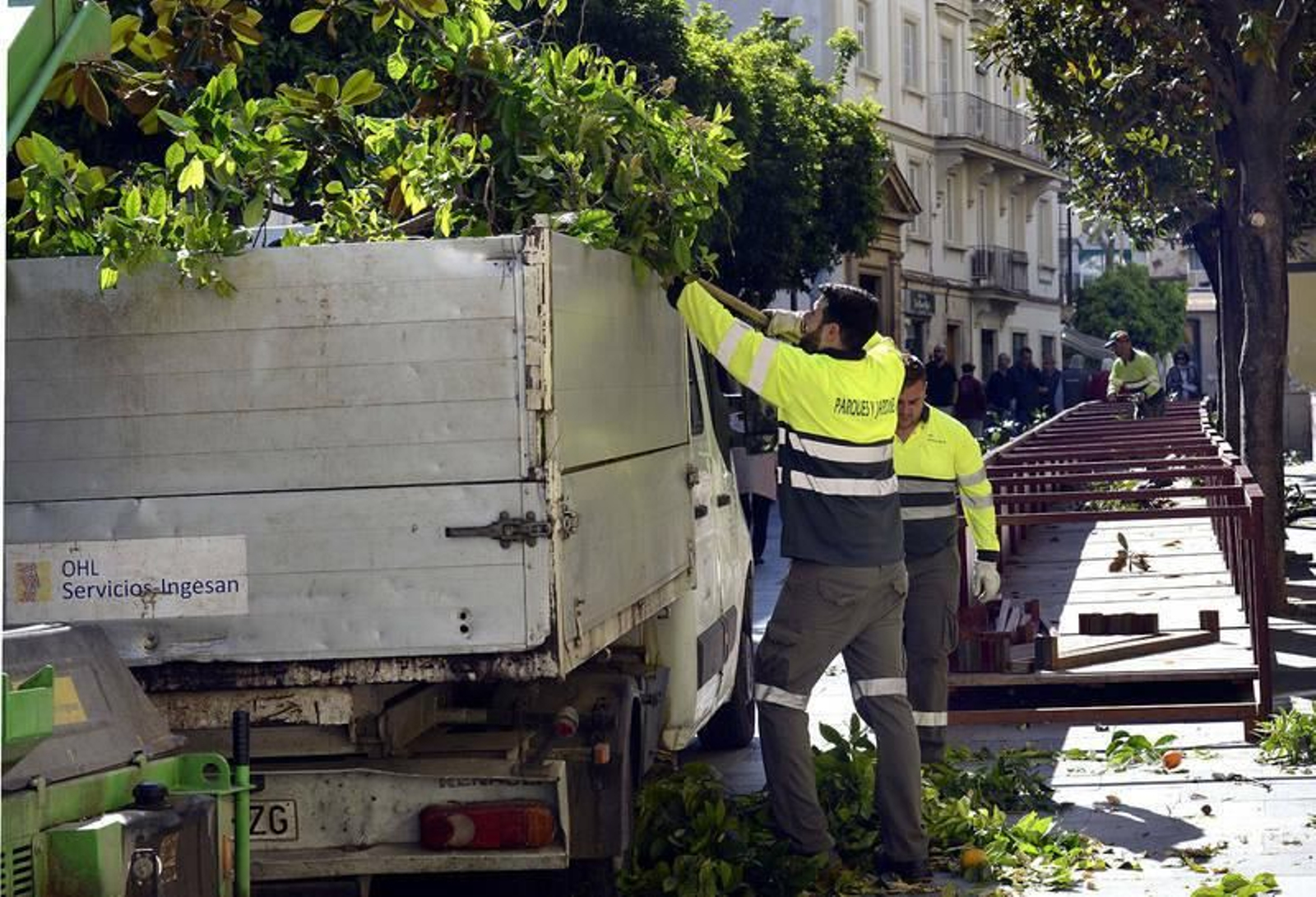 Dos operarios podan árboles en plena carrera oficial.