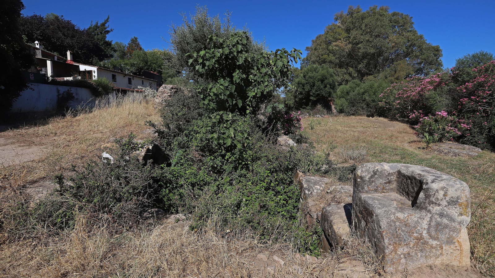 Las mejores fotos del sendero del Río Hozgarganta
