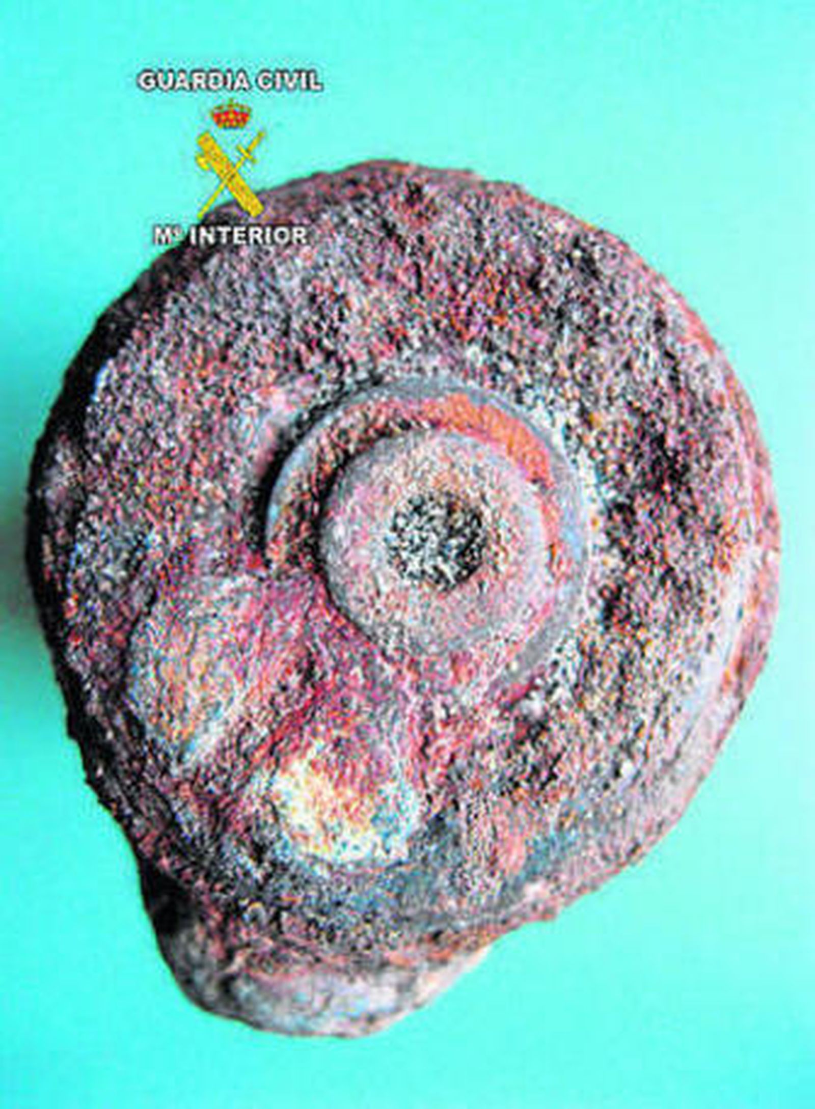 Imagen de la granada de mortero.