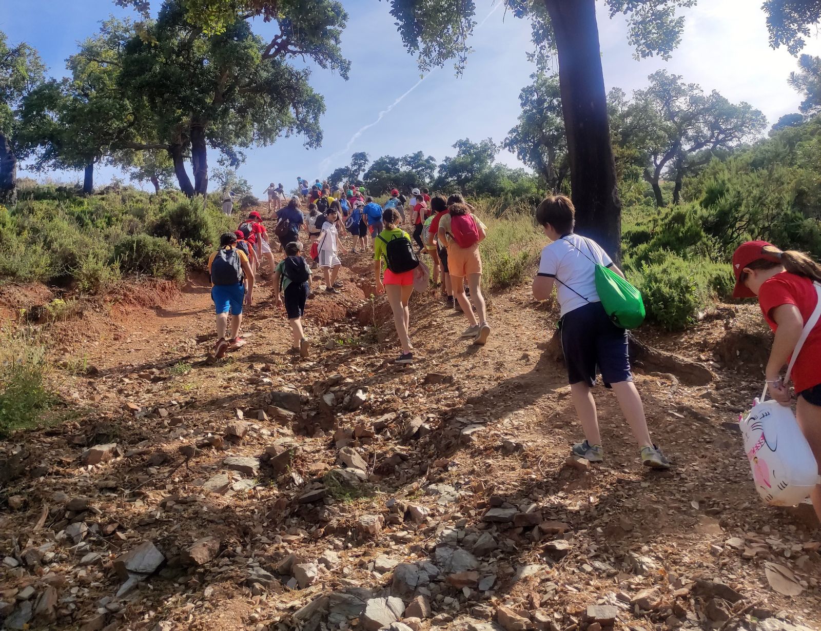Un grupo de alumnos realizando una ruta del programa de senderismo escolar.