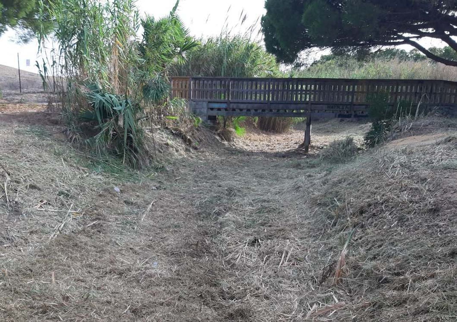 Vista de los trabajos desarrollados en la zona del Caño del Romeral.