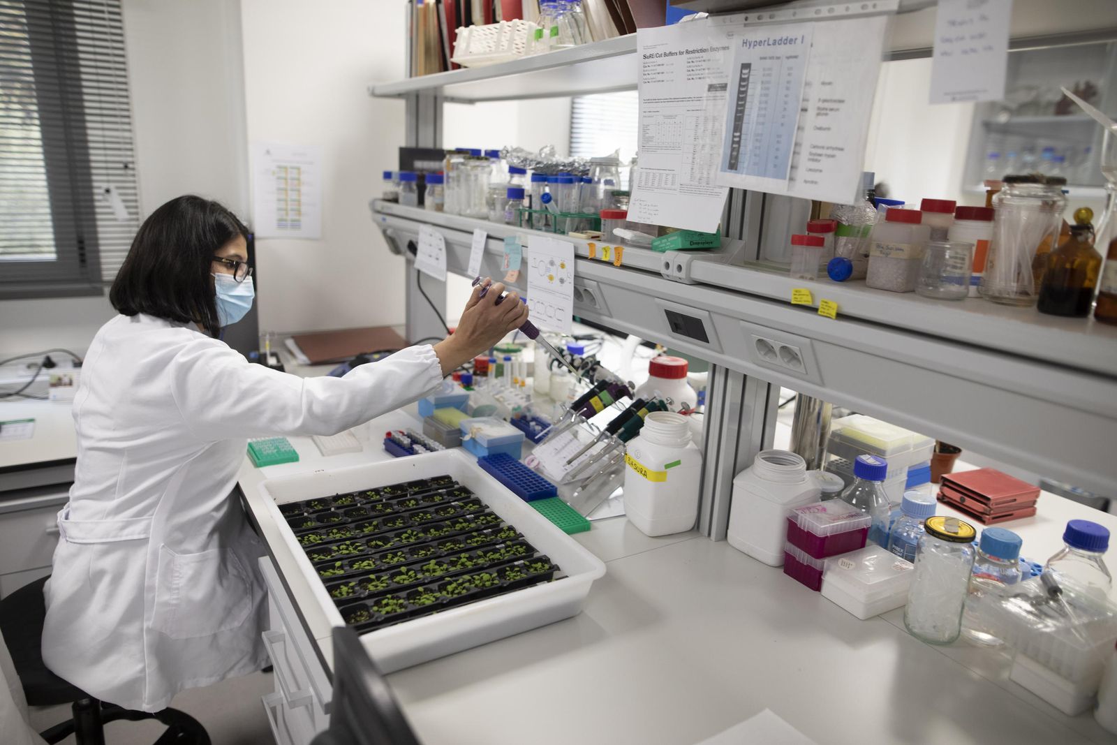 Laboratorio de la EEZ, en una imagen de archivo.