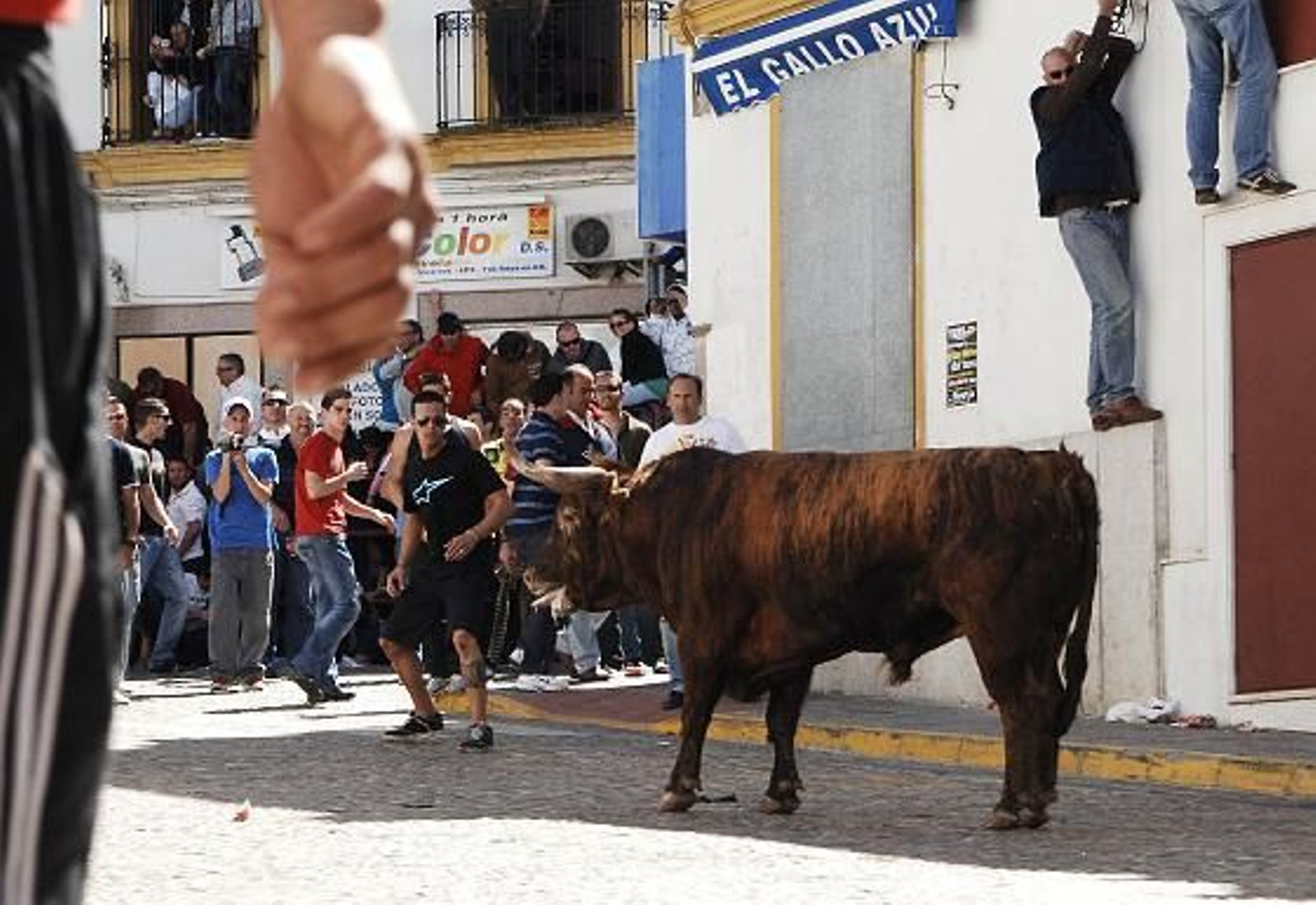 El segundo toro provocó daños a los corredores.

Foto: Ramon Aguilar