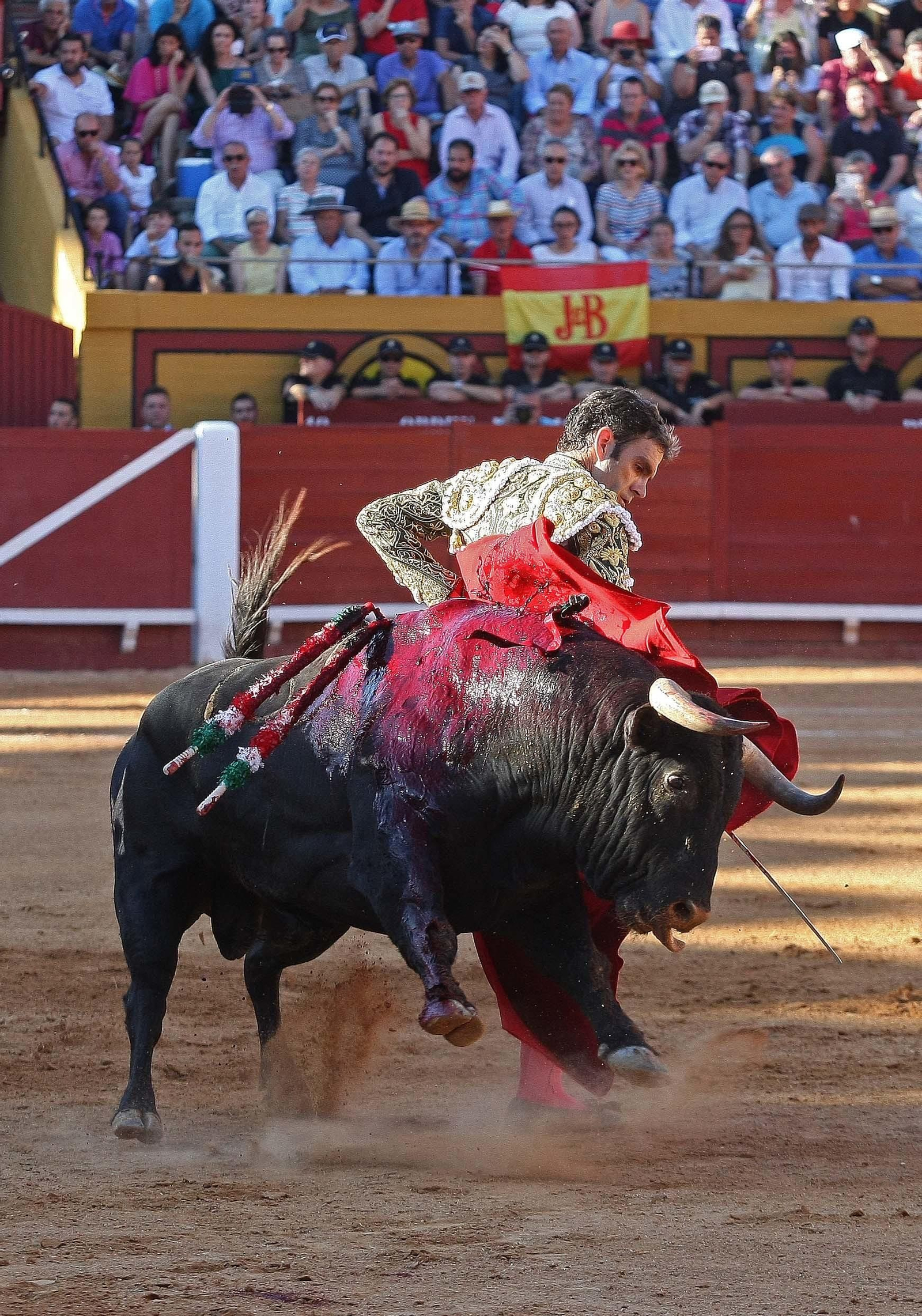 Las imágenes de la reaparición de José Tomás en Algeciras