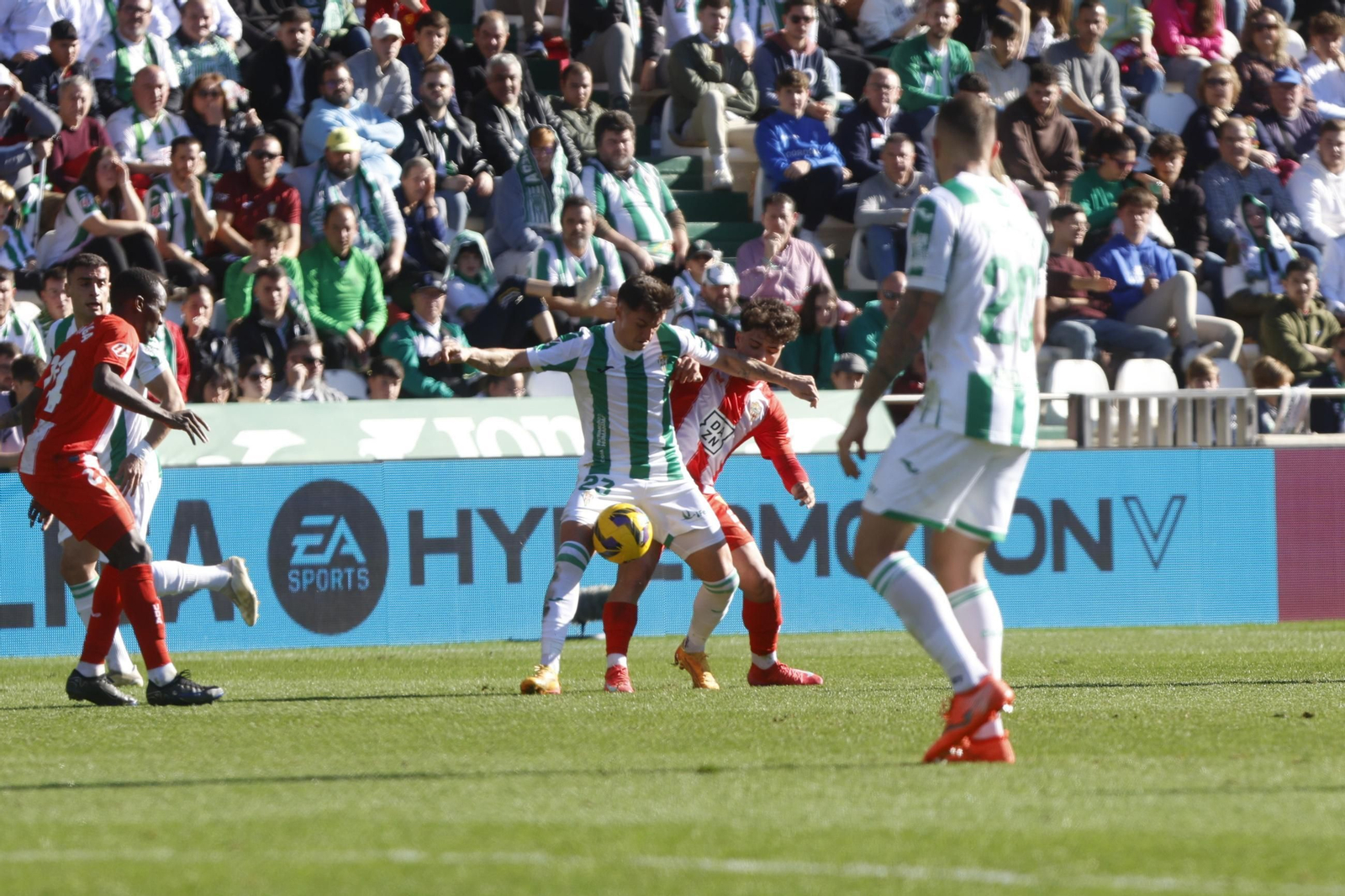 Las mejores fotos del ambiente en el Córdoba CF - Almería en El Arcángel