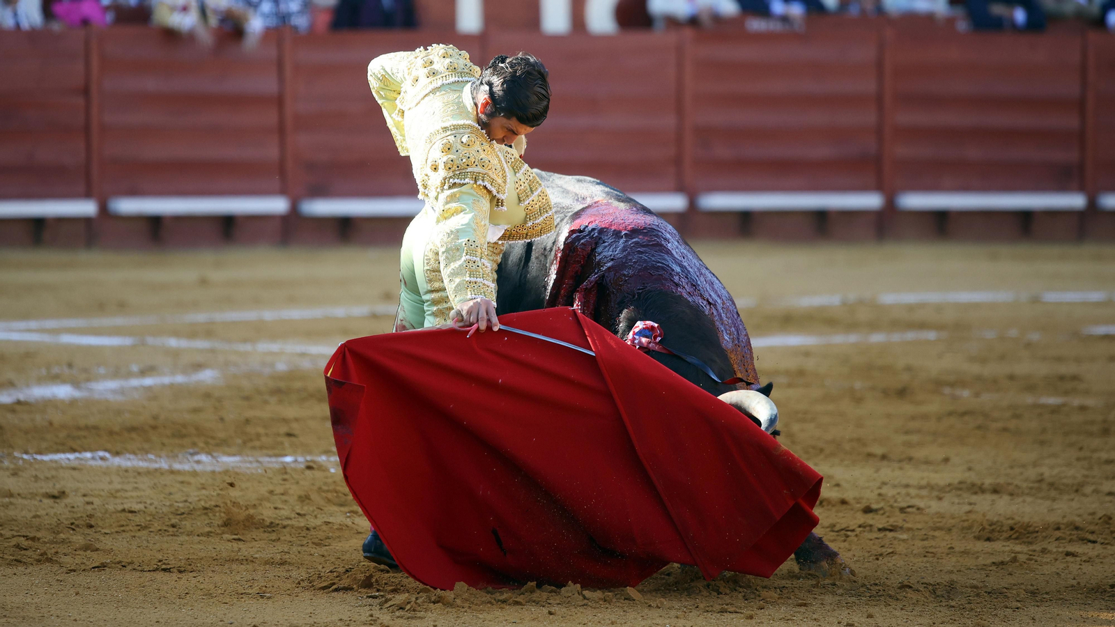 Morante, Castella y Pablo Aguado en la Corrida Concurso de Ganadería