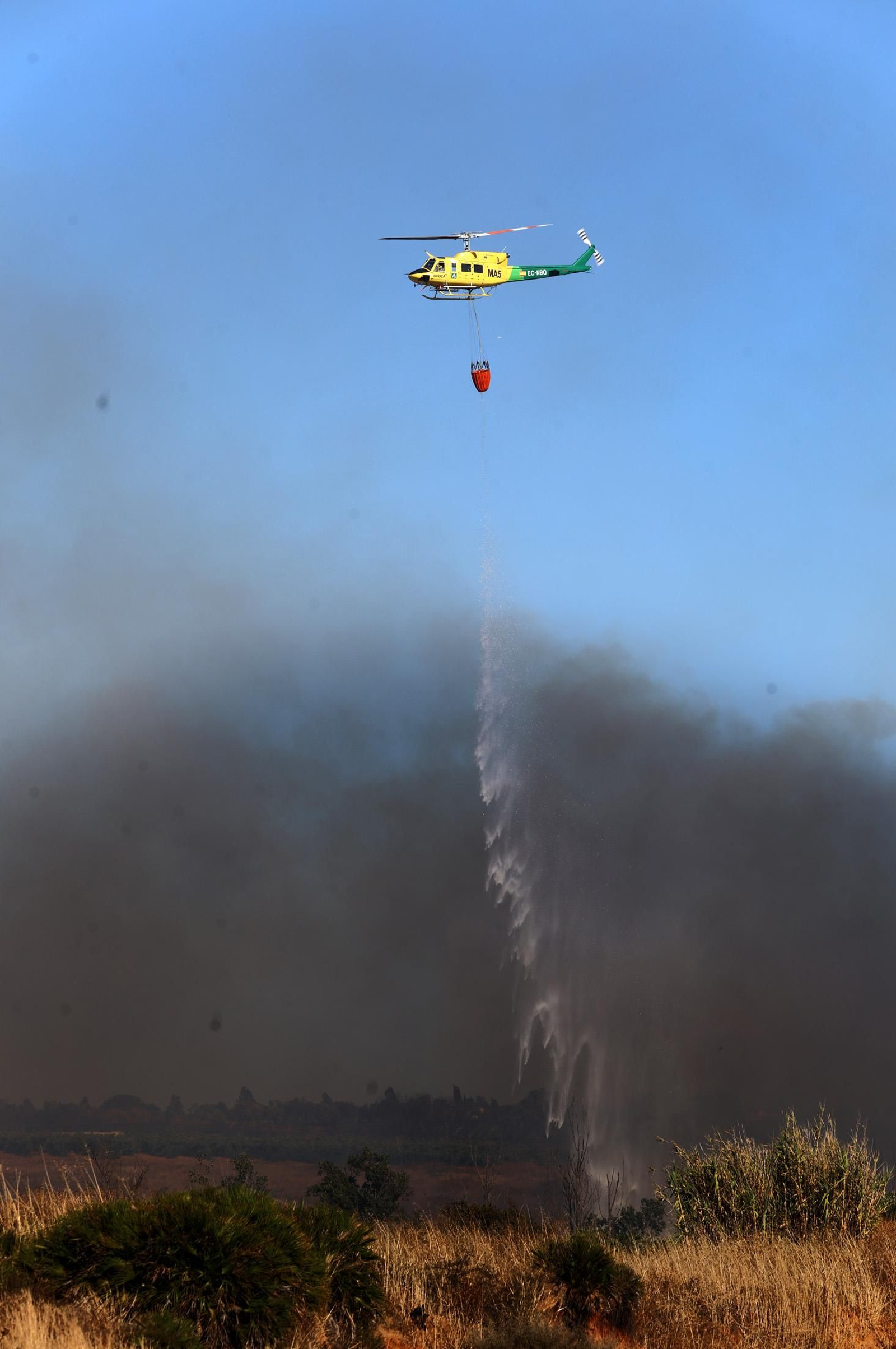 Imágenes del incendio en el Paraje del Arroyo de la Madreselva, en Bollullos par del Condado