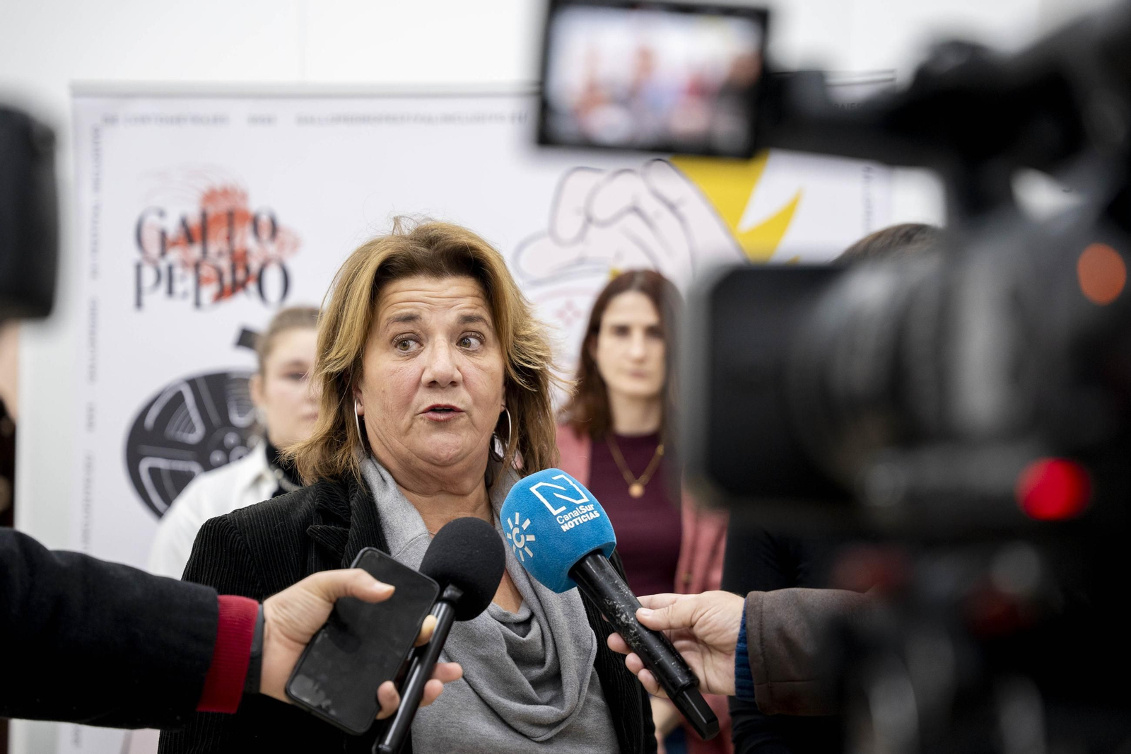 Las imágenes de la exposición "Carteles para un Gallo Pedro"