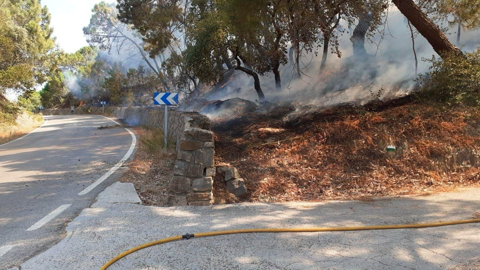 Incendido en el paraje Arroyo Hondo en Casares.