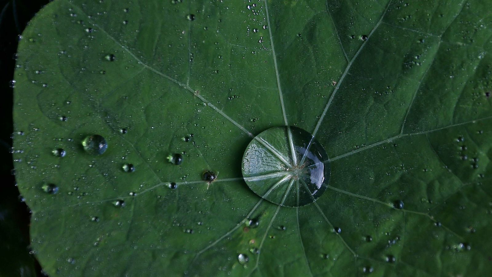 Las mejores fotos del parque fluvial del Río Pícaro