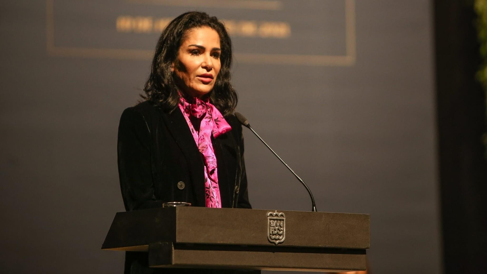 Lydia Cacho, Premio a los Valores Periodísticos en San Fernando