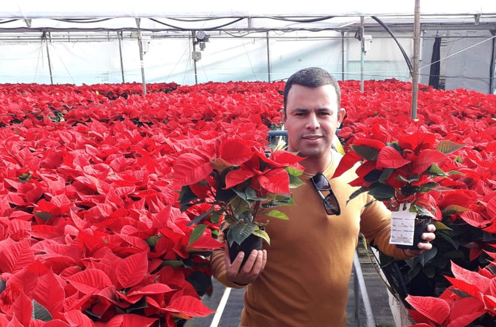 Pascueros de la empresa Agrobío.