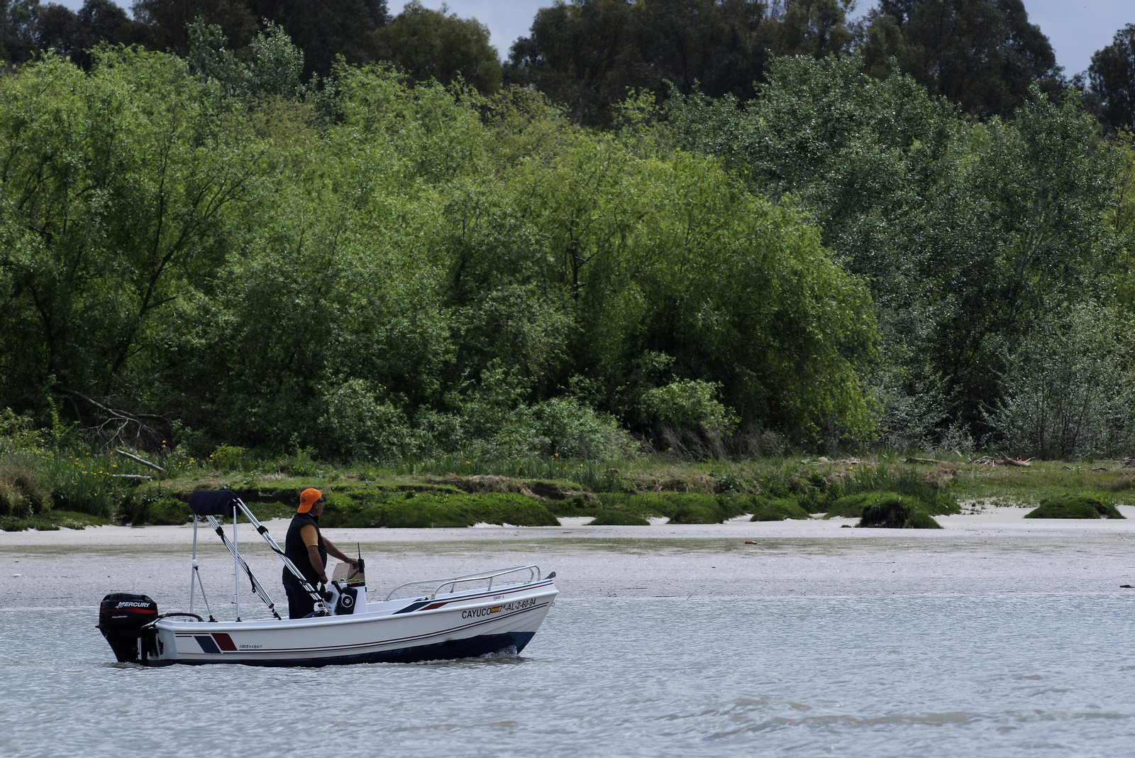 Travesía en barco por el Guadalquivir