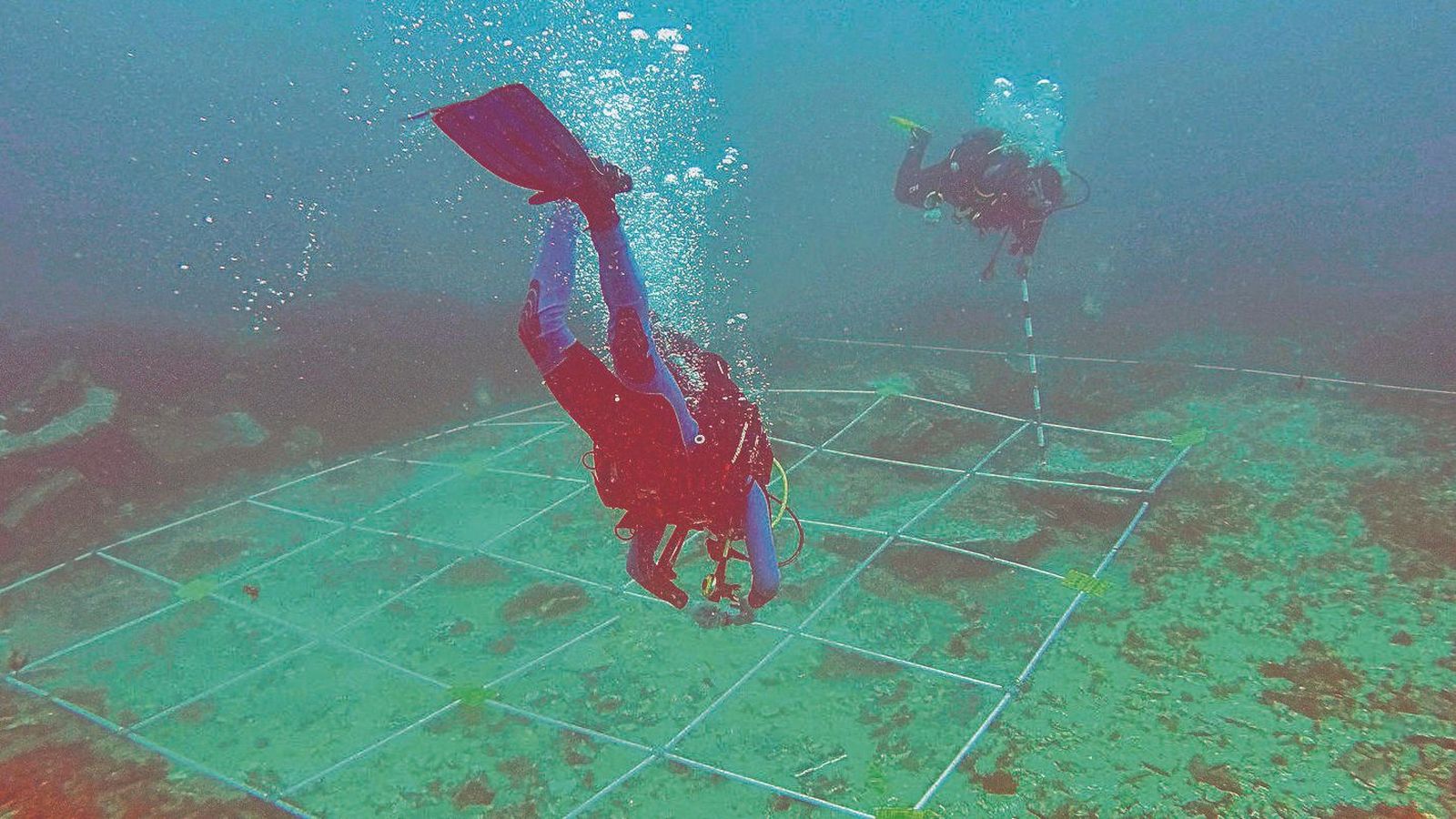 Oferta: En la Universidad de Cádiz puedes preinscribirte en alguno de sus 59 másteres oficiales