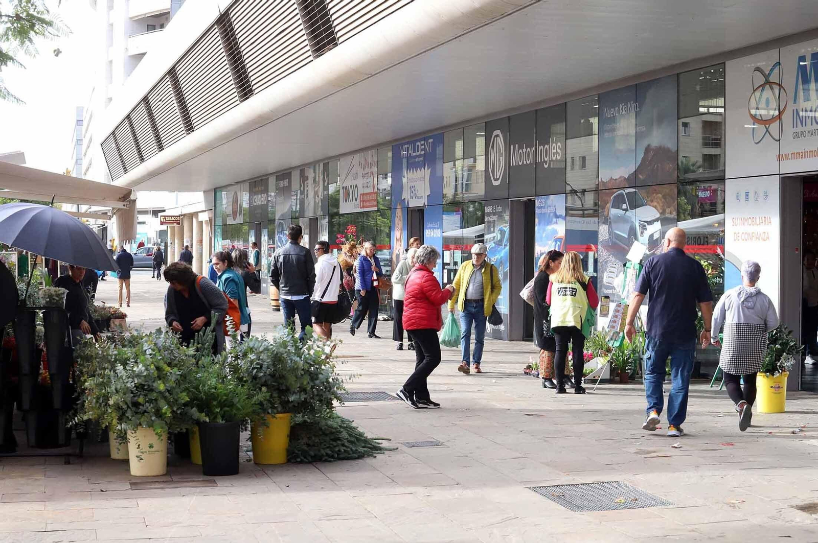 Barrio a barrio: Imágenes de Pescadería