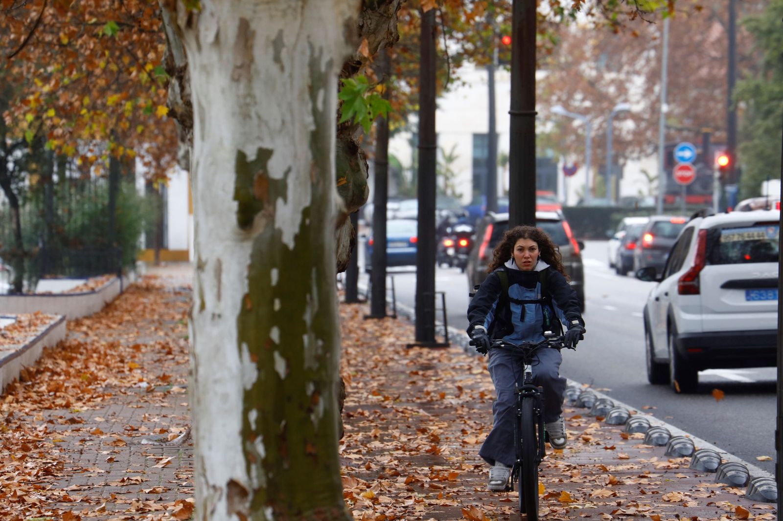 El paso de la borrasca Goretti por Córdoba