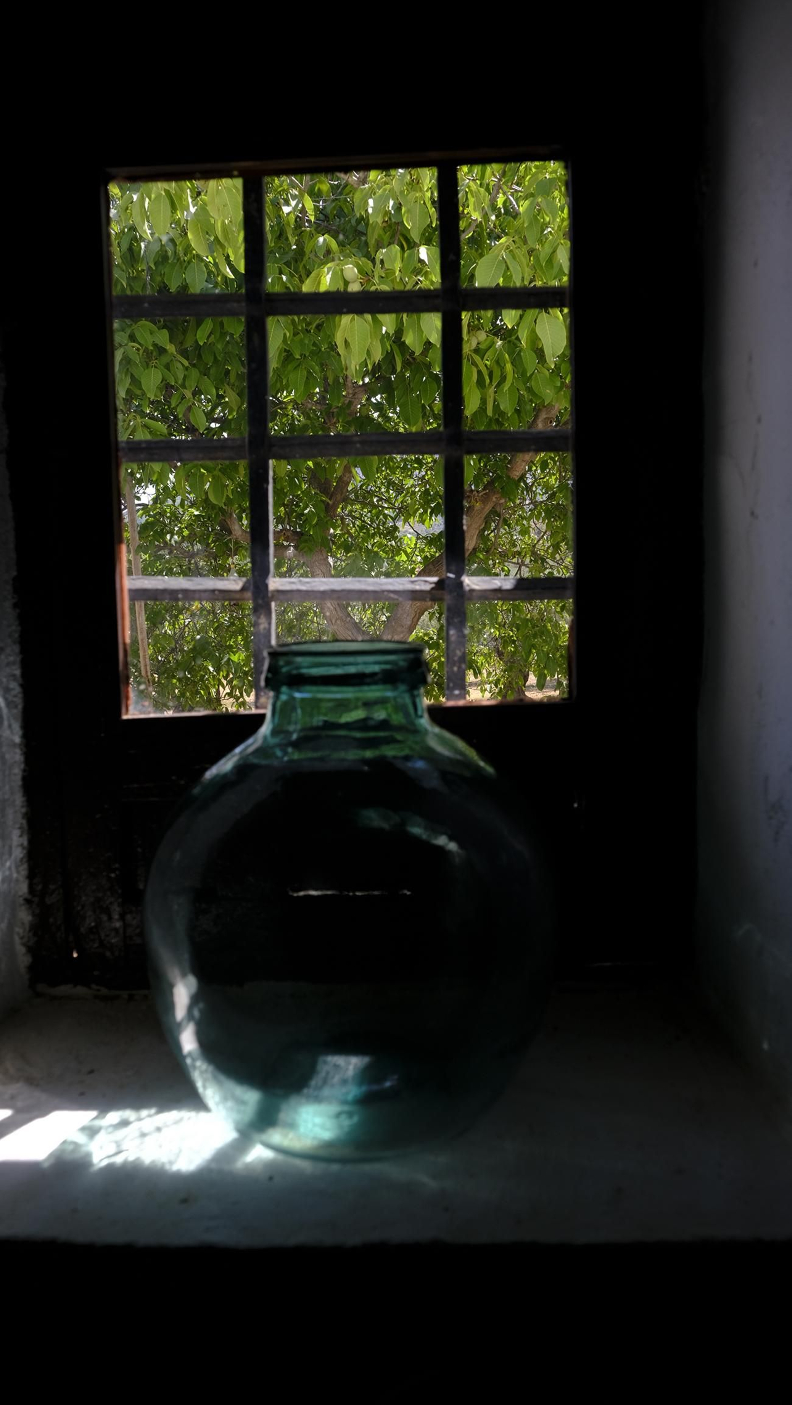 La vendimia en la Bodega Cortijo del Cura de Laujar, en imágenes