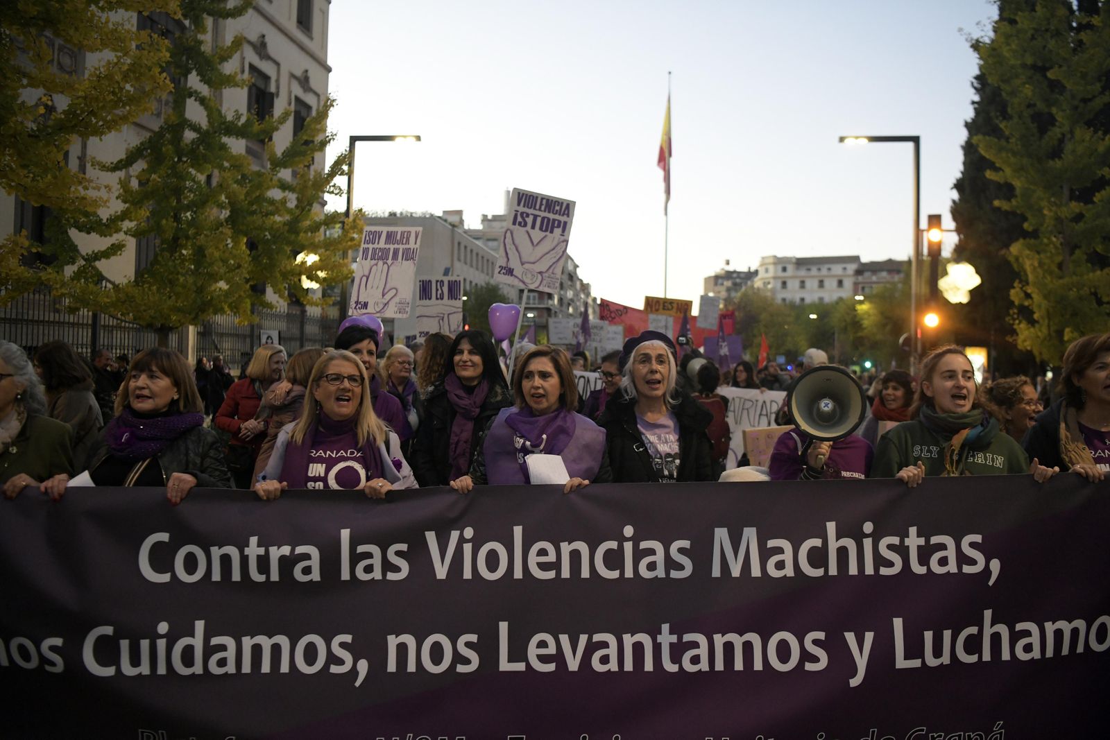 La manifestación del 25-N en Granada, en imágenes