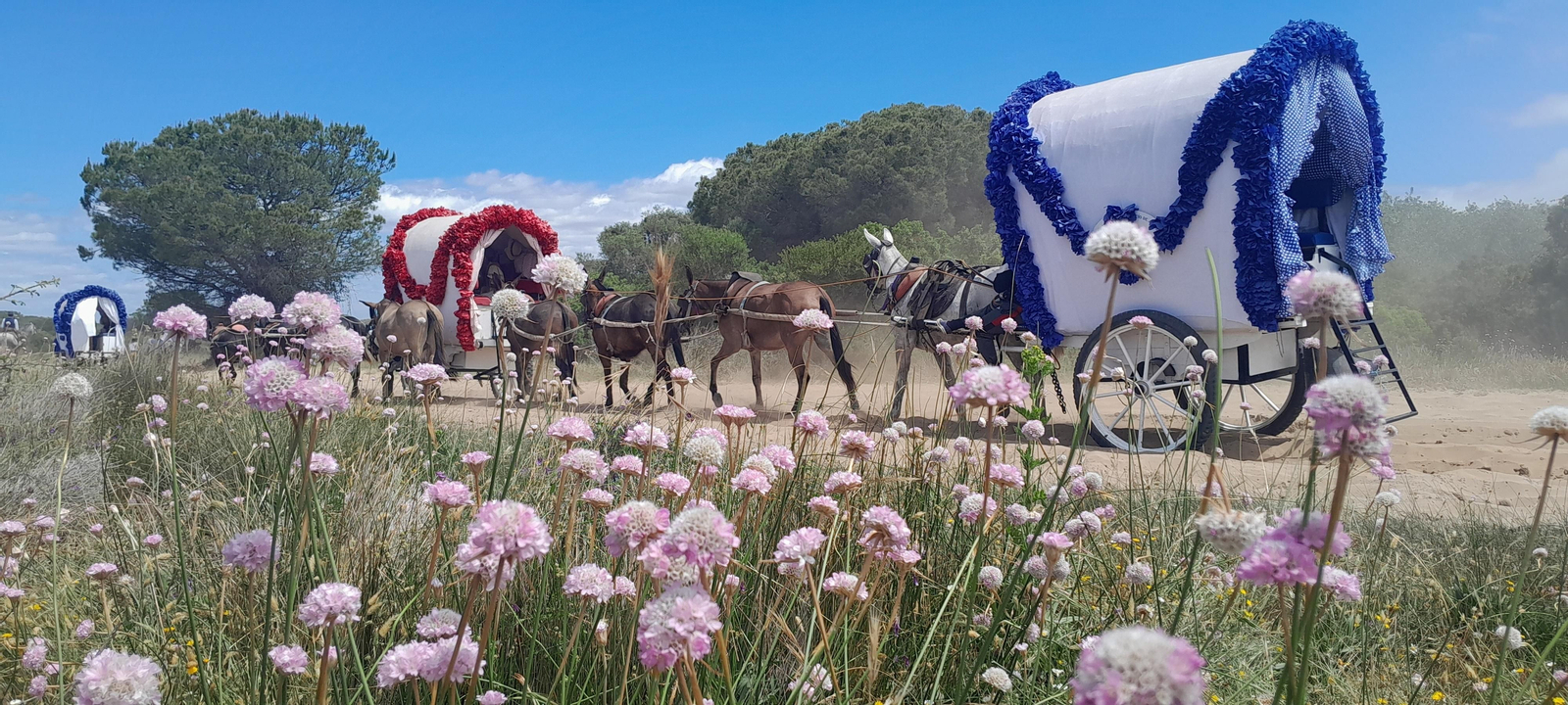 Imágenes de la Hermandad del Rocío de Jerez el viernes camino de la Aldea