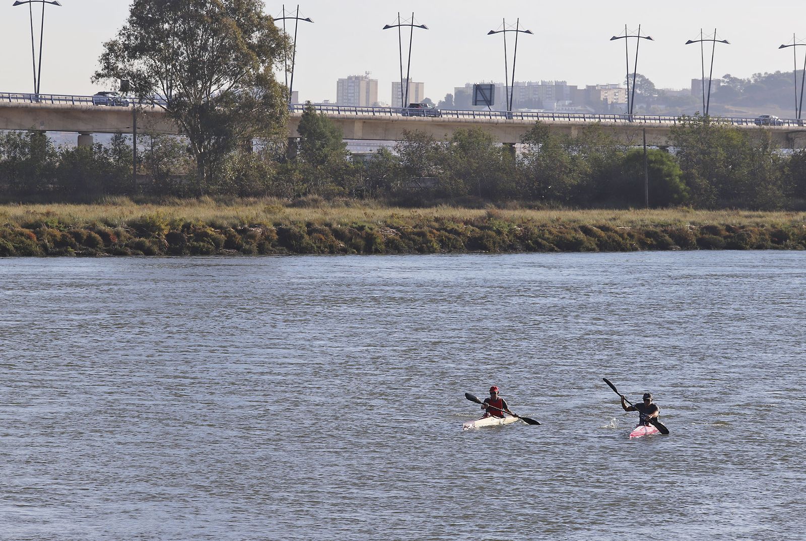 Imágenes del lunes 11 de octubre en Huelva