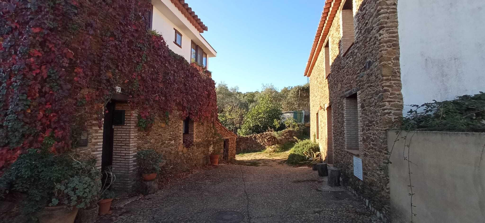 Las imágenes de la Ruta del charco malo