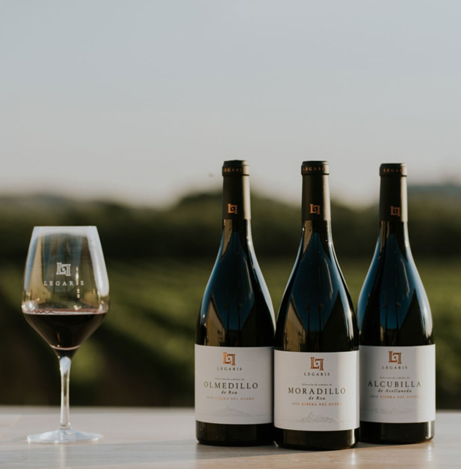 Uno de los vinos seleccionados