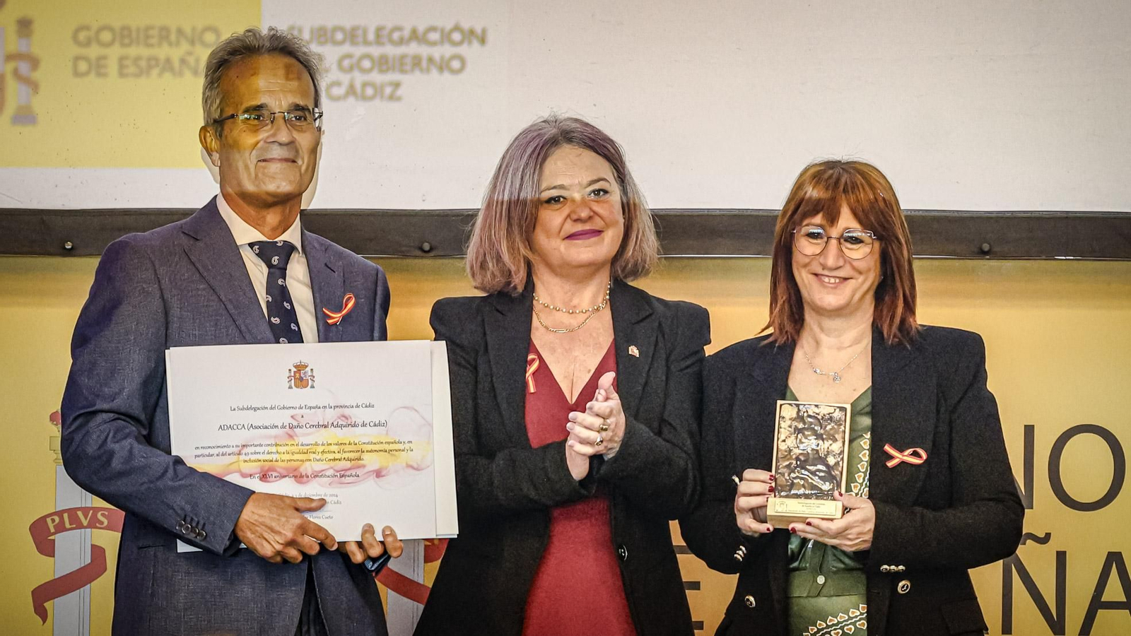 Las imágenes de la entrega de distinciones en Cádiz por el 24º aniversario de la Constitución Española