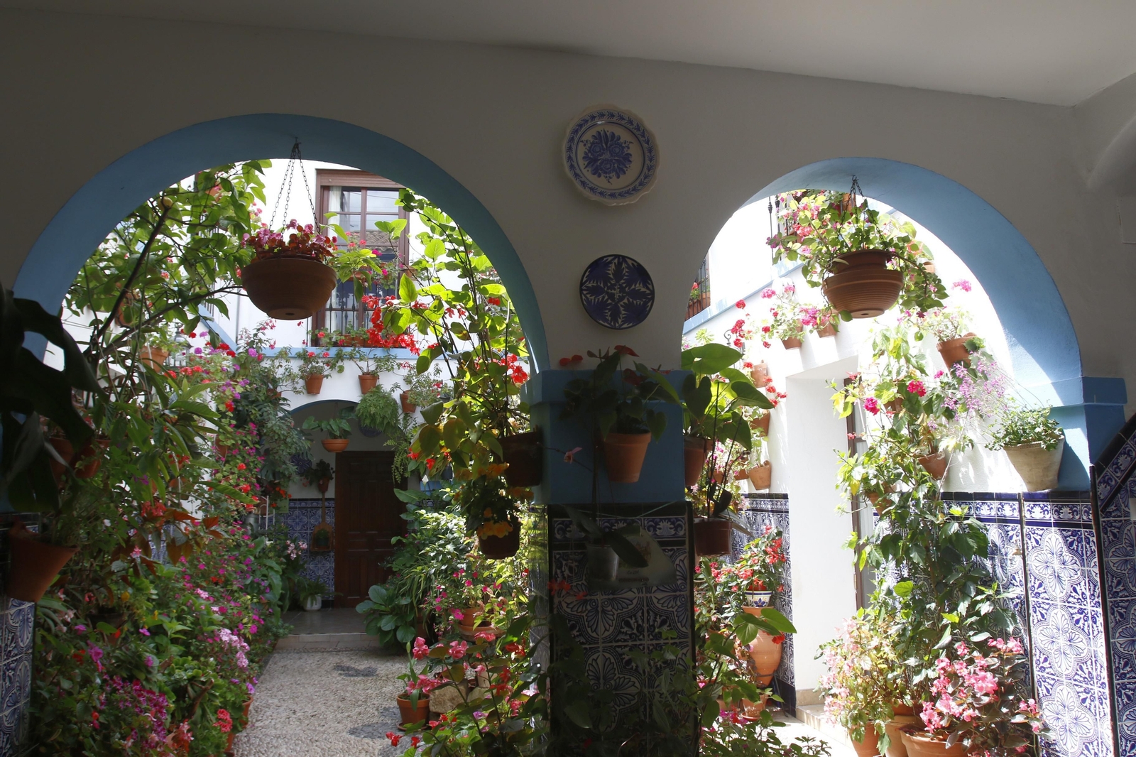 Los Patios de Córdoba en tiempos de crisis: Pedro Fernández, 6