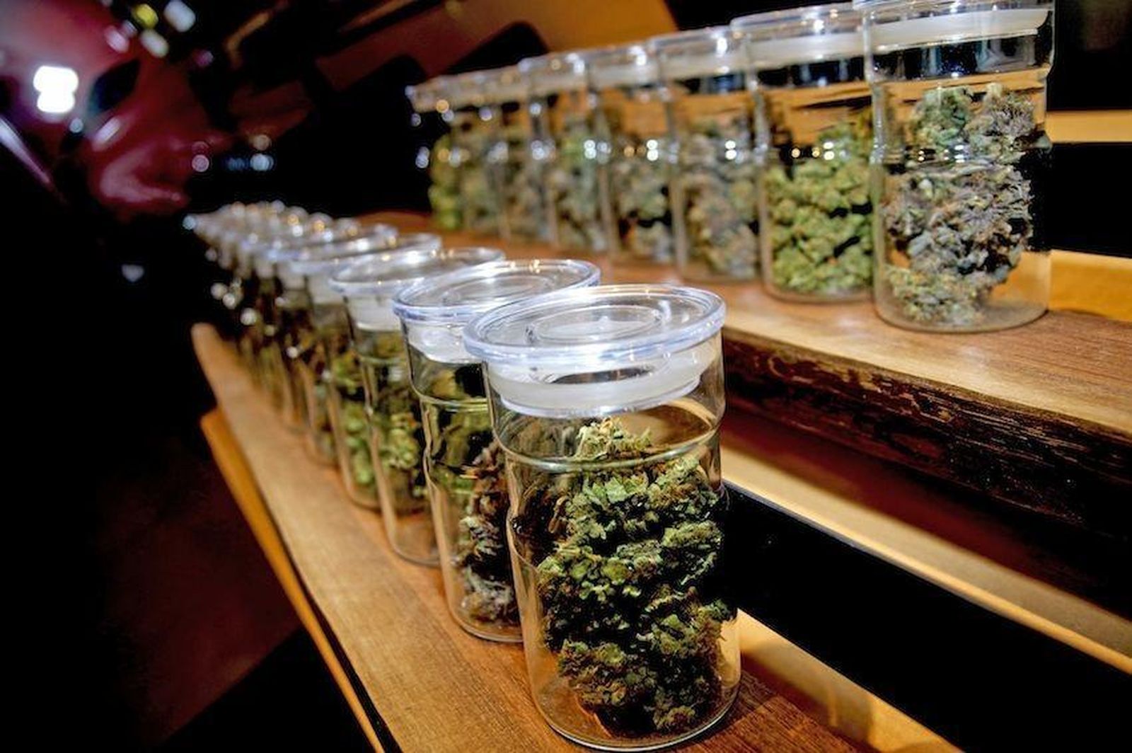 El cannabis llega a los estancos de León