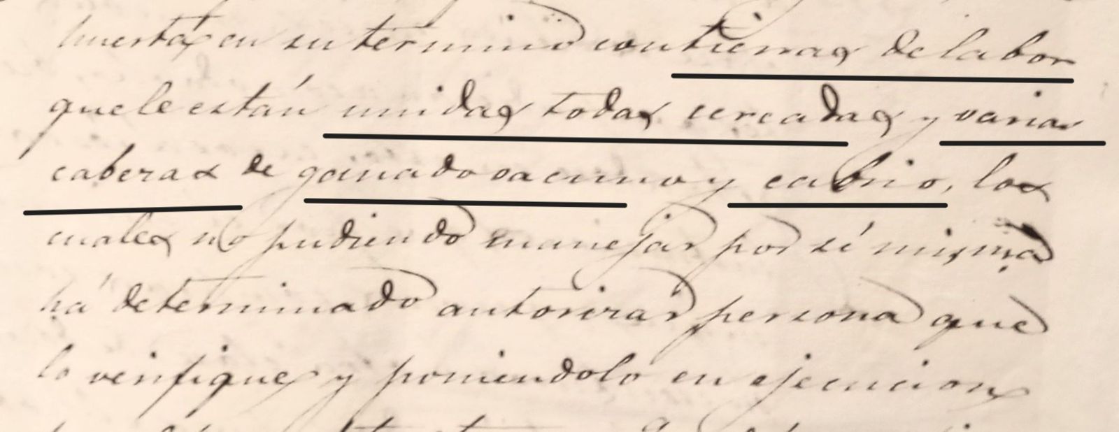 La algecireña Gabriela Carretero era dueña de casa de labor y ganado en Castellar.