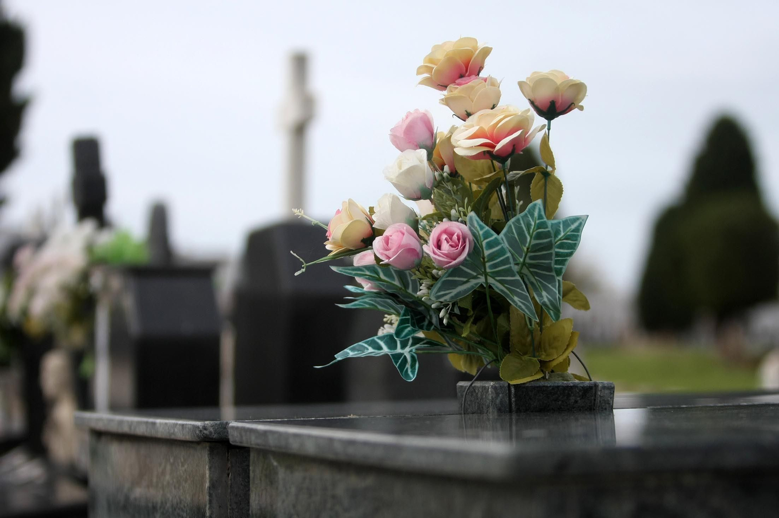 Imágenes del ambiente en el cementerio La Soledad, Huelva