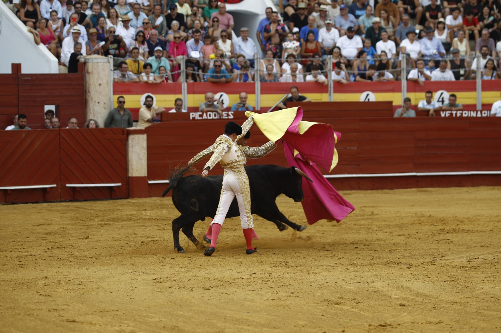 Las mejores imágenes de la clase práctica de la Escuela Municipal Taurina de Almería