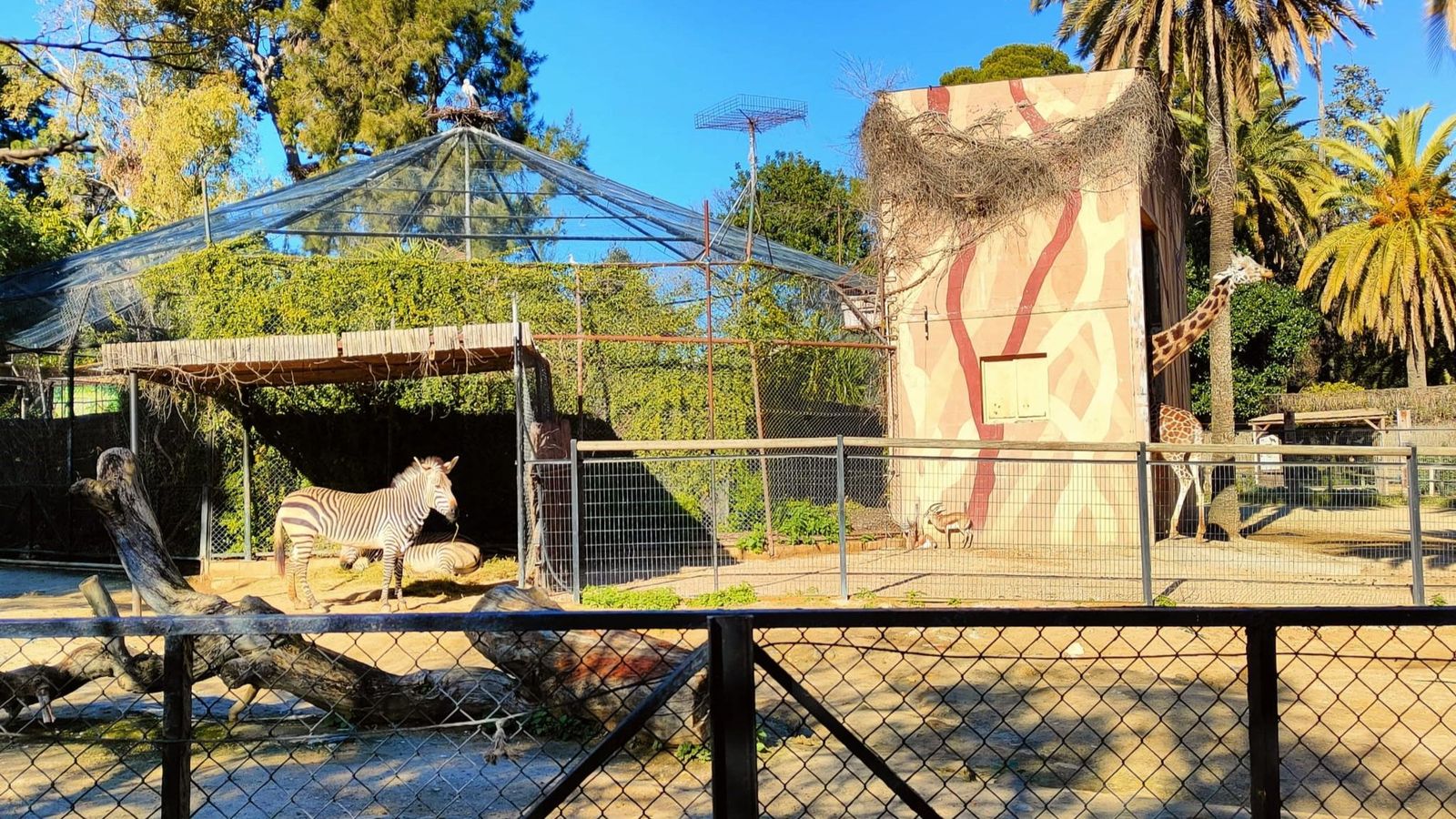 Instalaciones de las cebras y las jirafas, en el Zoo de Jerez.