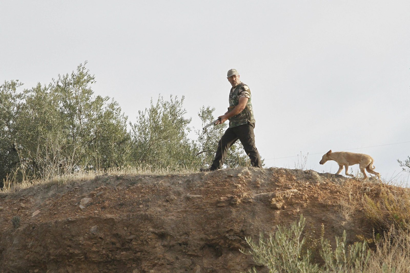 Imagen de archivo de caza en Granada