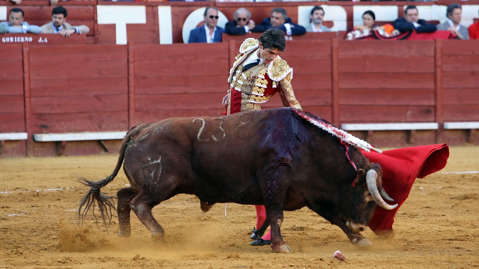 Última tarde de toros de la Feria de Jerez 2024 con Morante, Manzanares y Castella
