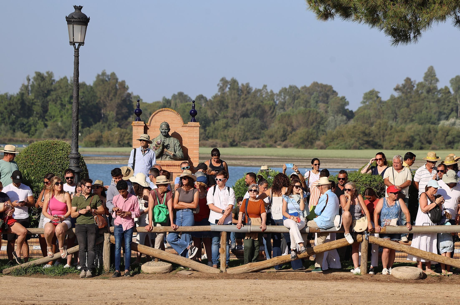 Las mejores imágenes de la Saca de las Yeguas 2025