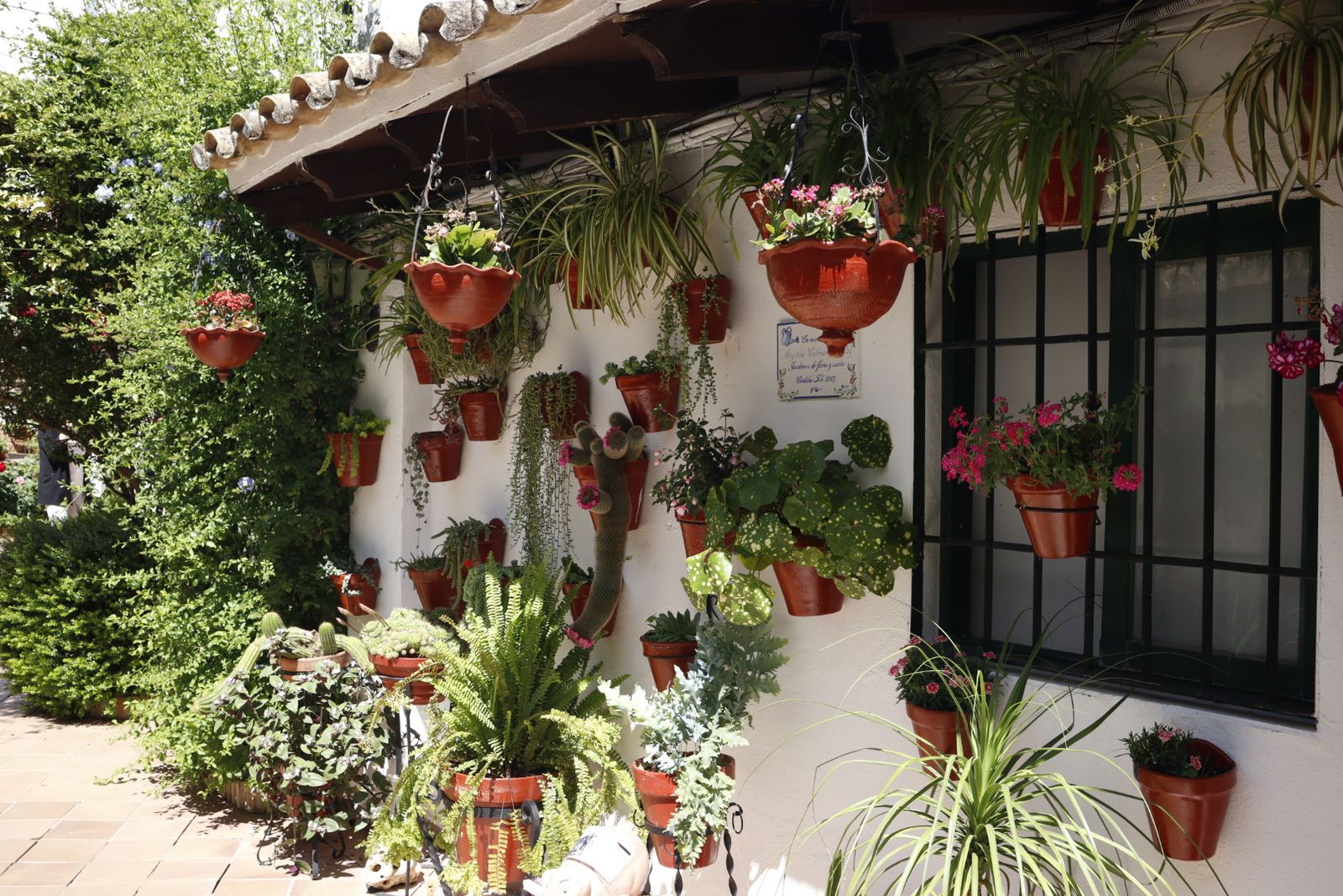 Ruta de los patios de San Lorenzo