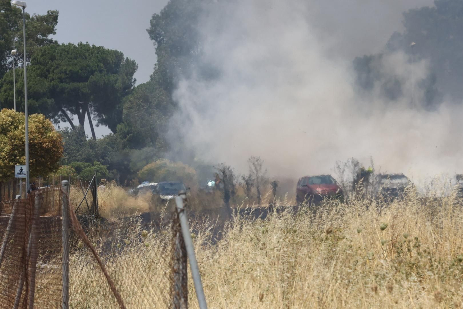 Incendio de pastos junto a la avenida de Espera en Jerez