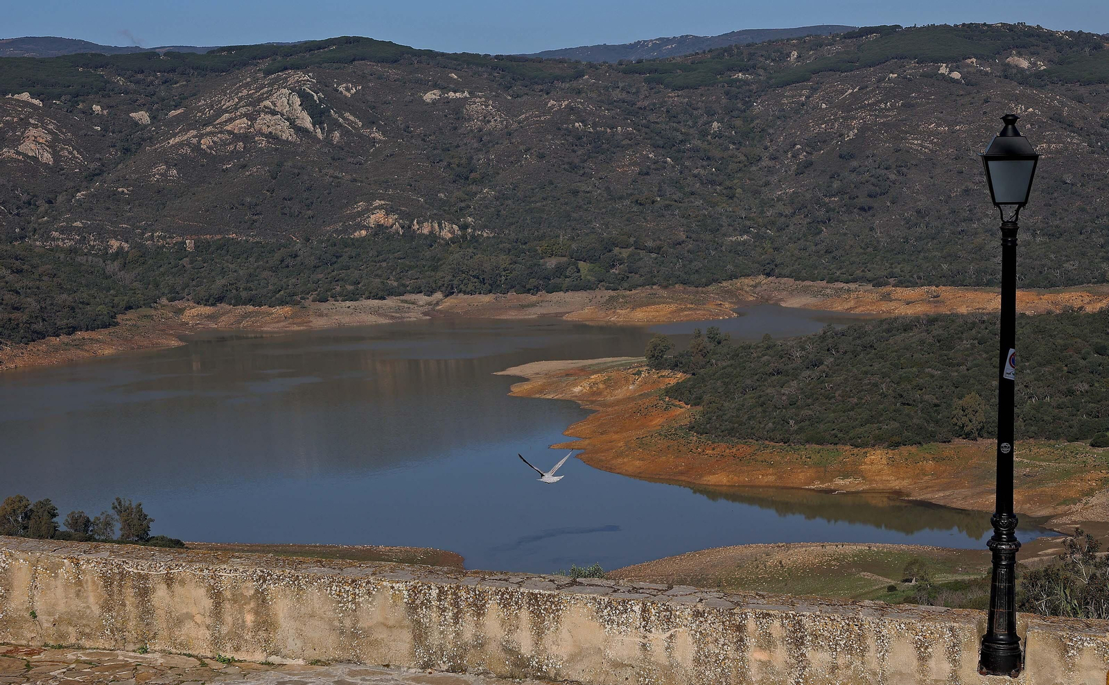 Imágenes del estado actual de los pantanos del Campo de Gibraltar