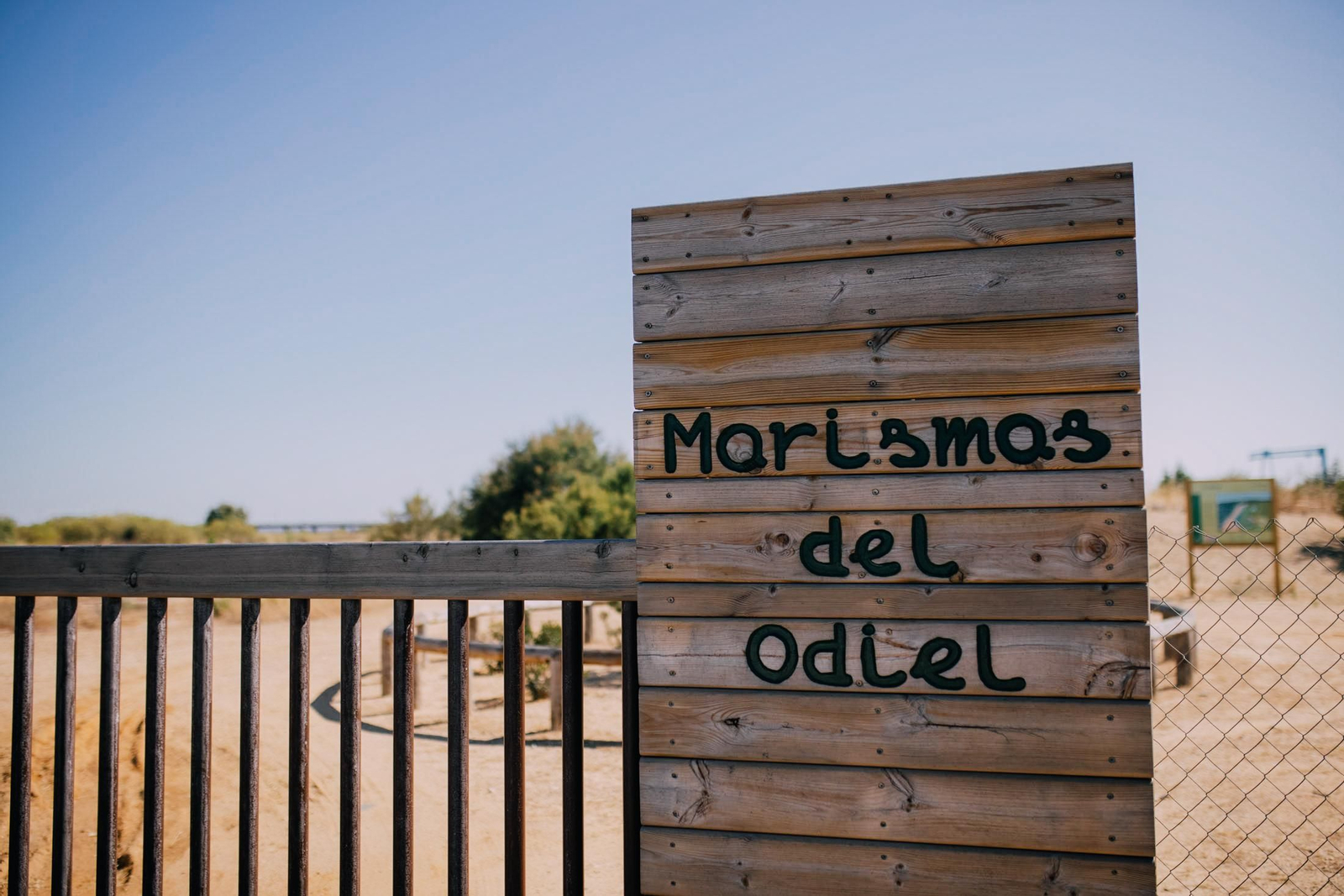 Un recorrido fotográfico por el Paraje Natural Marismas del Odiel