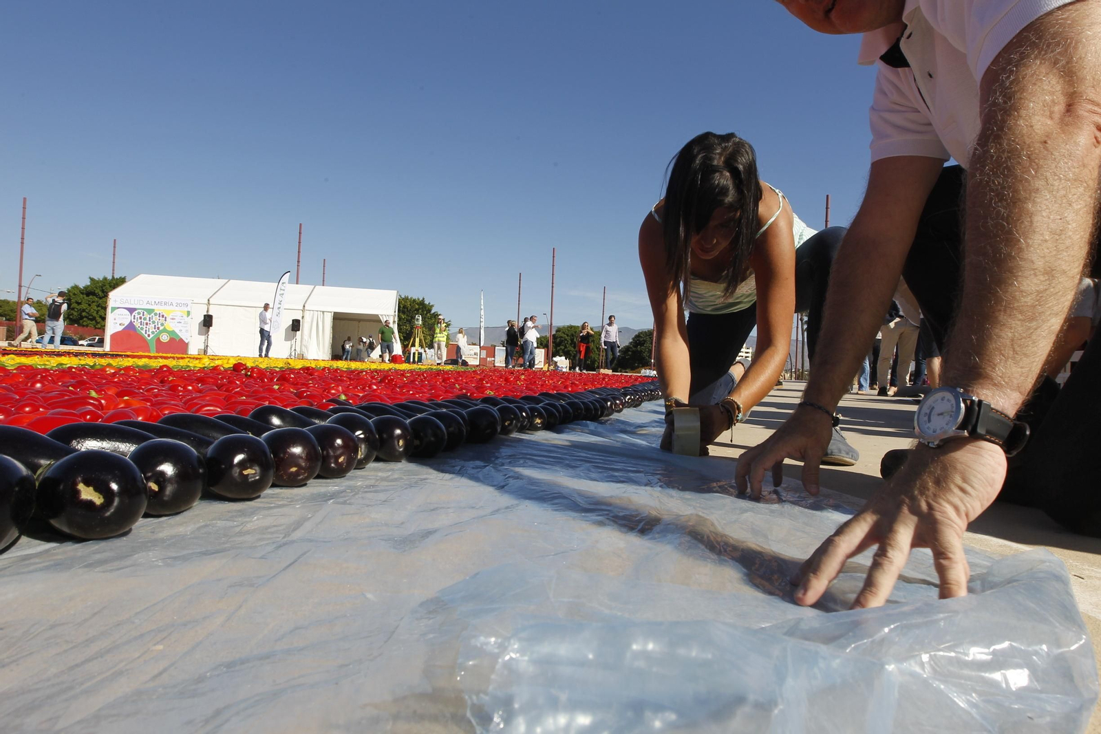 Fotogalería Récord Guinness Corazón Hortalizas Almería