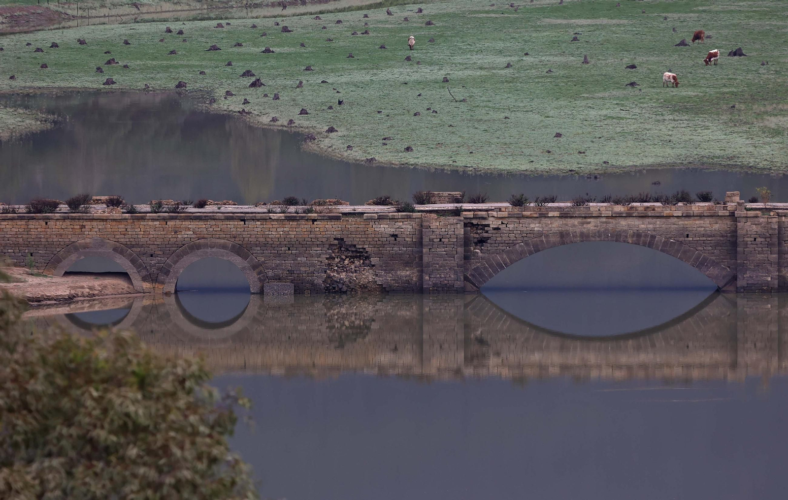 El puente en medio del pantano de Charco Redondo, en Los Barrios.