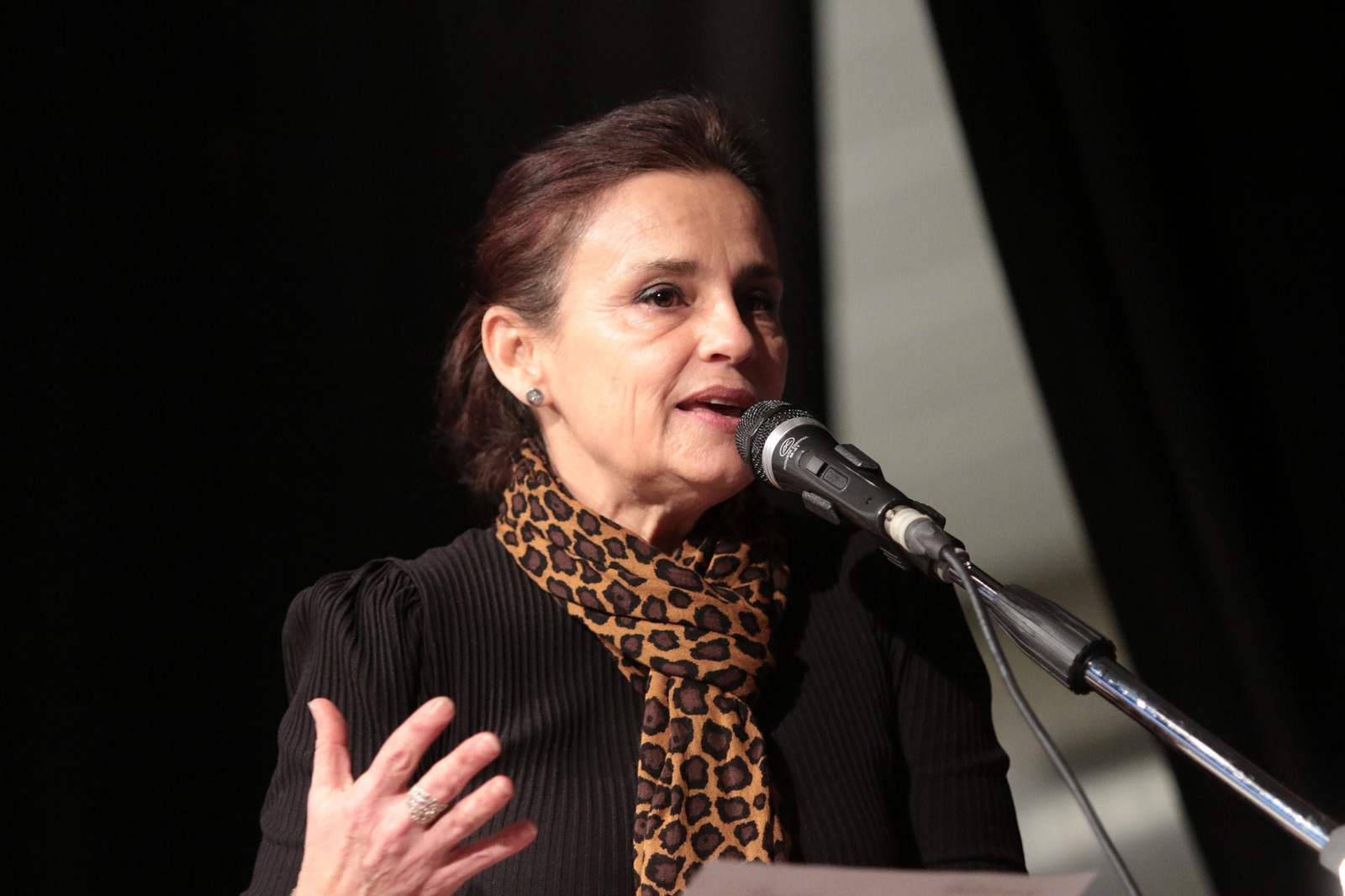 'Mojácar, Espacio Literario' se estrena con Carmen Mola y su novela 'Las Madres'