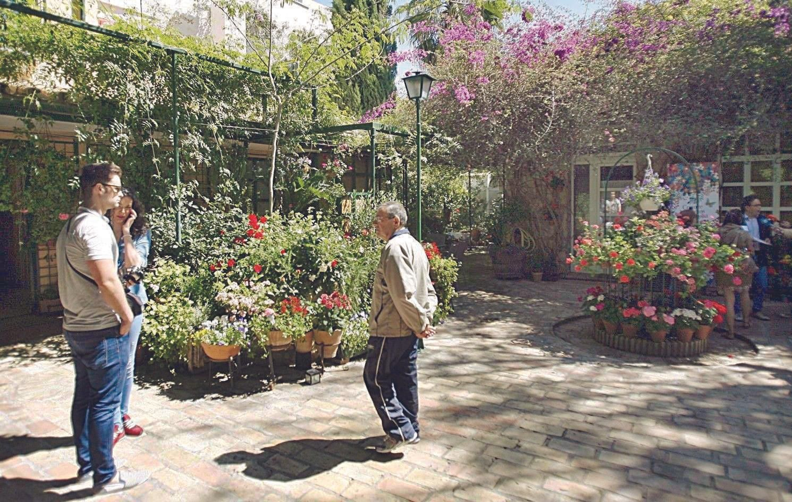 RUTA Regina-Realejo: Plaza de las Tazas 11