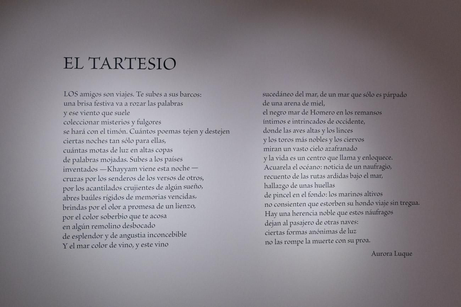 La poesía de Aurora Luque inspira la exposición 'Libros de Artista 2025'