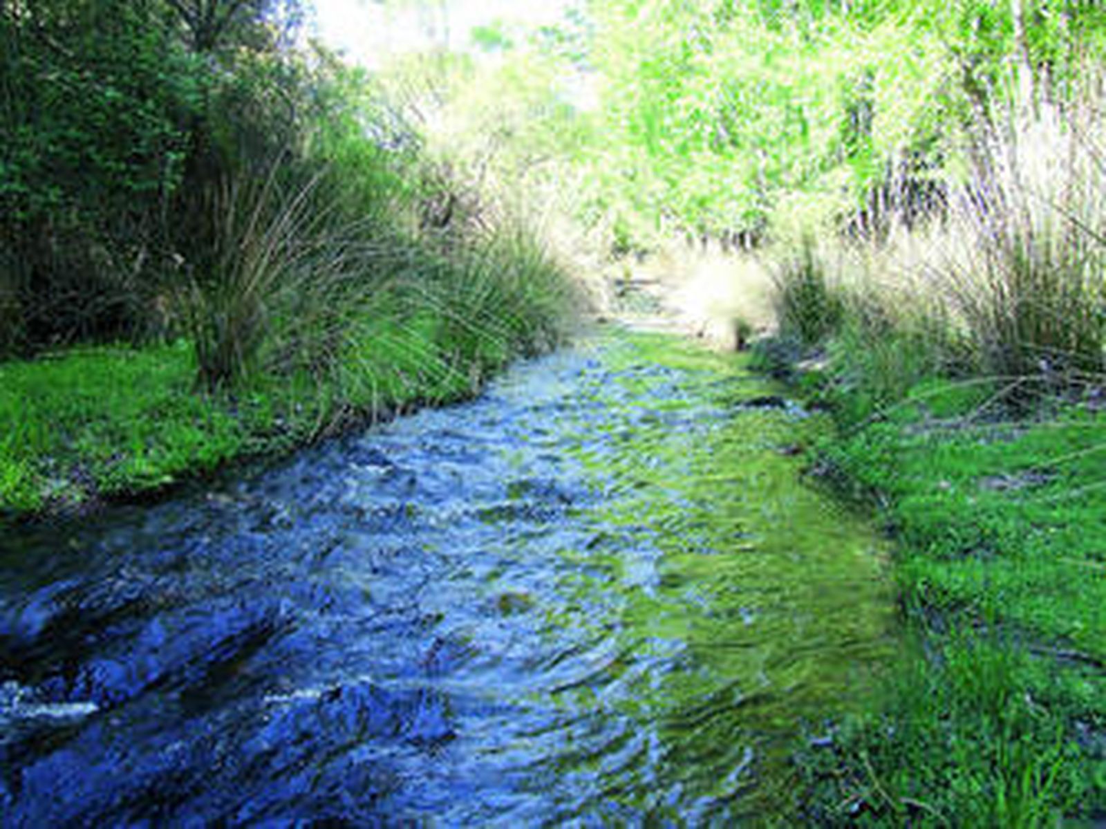 El río Nacimiento, que nace en Fiñana, es uno de los símbolos geográficos que mejor identifica a la comarca y que la vertebra.