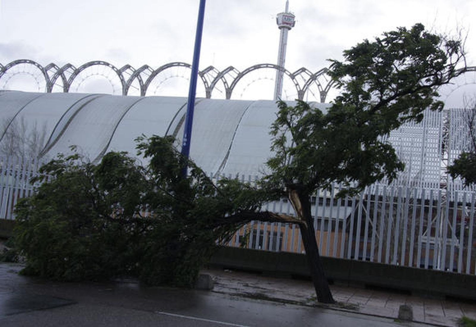 Sevilla registra casi mil incidencias por el temporal