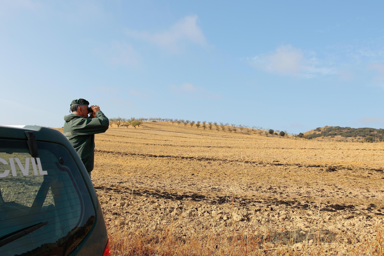 Así busca el Seprona de Granada a la pantera o el gato grande de Ventas de Huelma