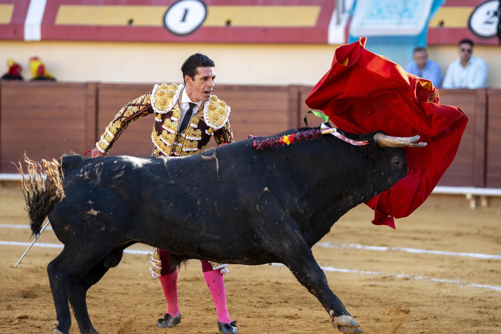 Las imágenes de los toros en Vera