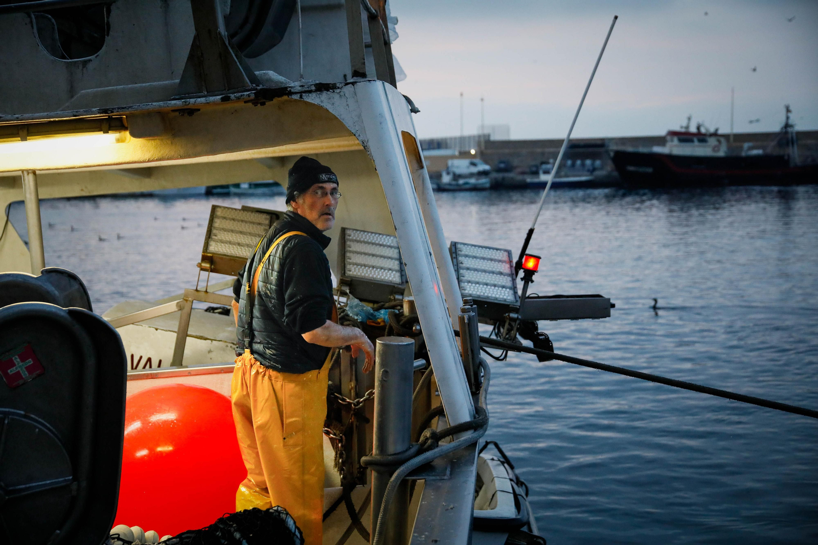 Te contamos en imágenes como ha sido la descarga de las traiñas en la lonja de Almería